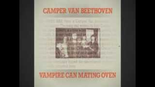 Camper Van Beetoven -  Ice Cream Every Day
