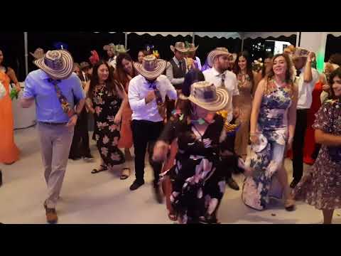 Once Upon A Wedding video.