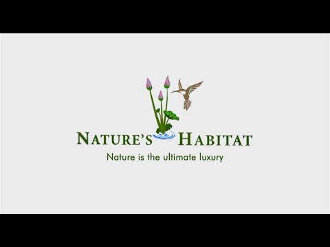 3D Tour Of Celebrity Natures Habitat