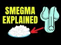 Doctor Explains SMEGMA Aka Build Up Of White Material Under The Penis Foreskin How To Clean It