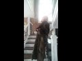 Legs Crazy Carol Sings Big Spender Shirley Bassey