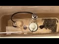 How To Fix A Toilet Flapper That Closes Too Soon
