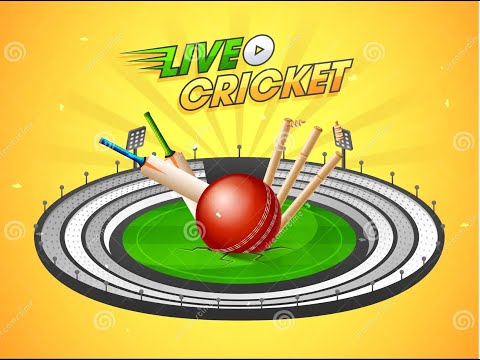 NOVAK DJOKOVIC vs BERRETTINI