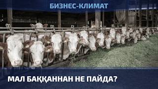 Ауыл халқы алаңдататын мәселелер
