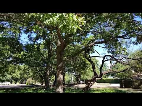 A.W. Perry Homestead Museum in Carrollton Texas