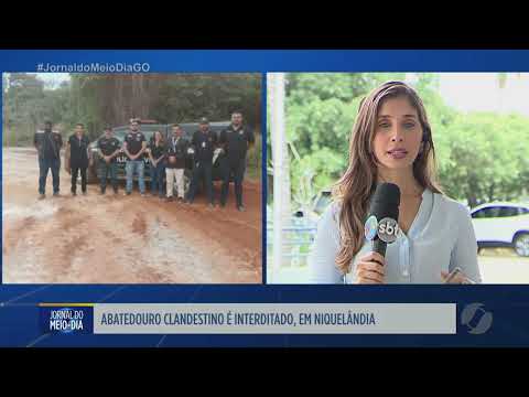 Abatedouro clandestino é interditado em Niquelândia