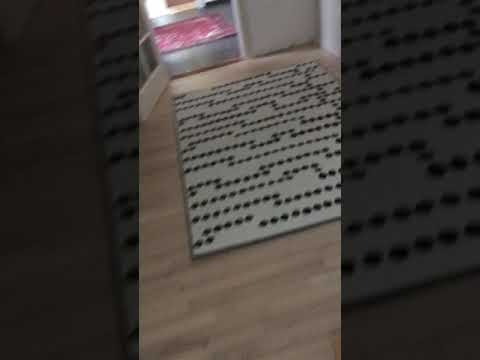 Así son las casas en Suecia