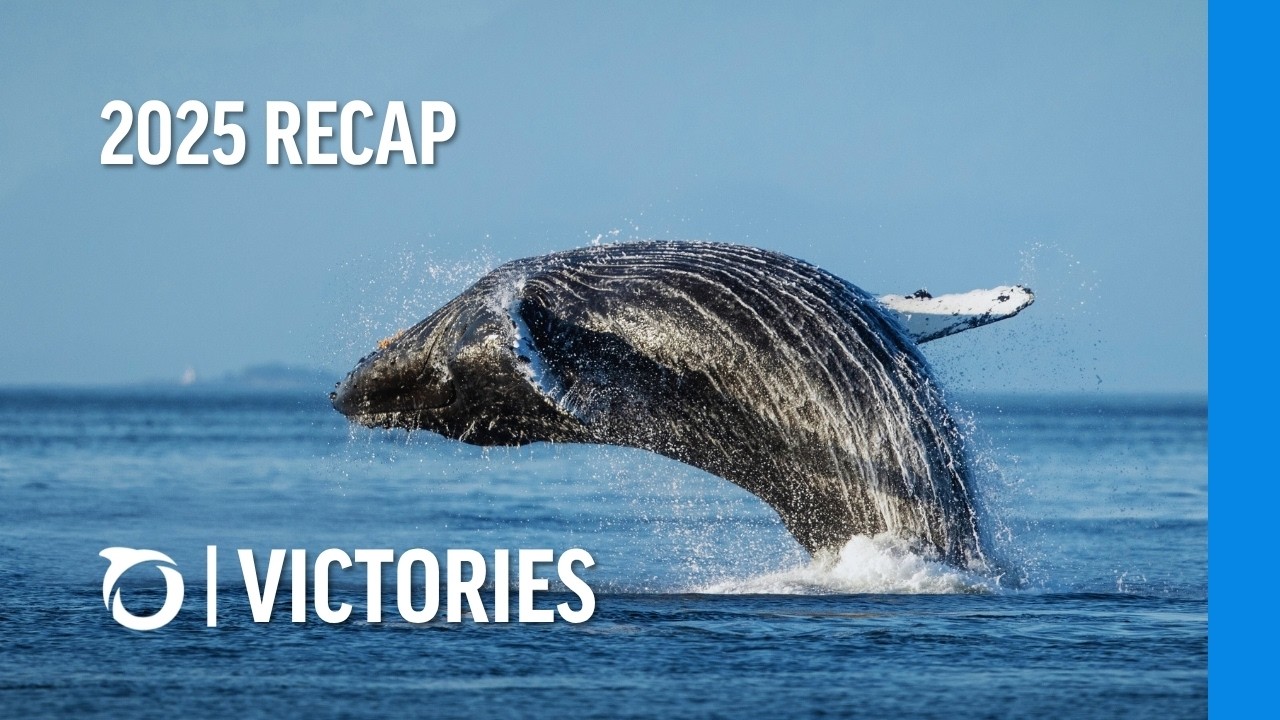 Oceana 2025 Victories