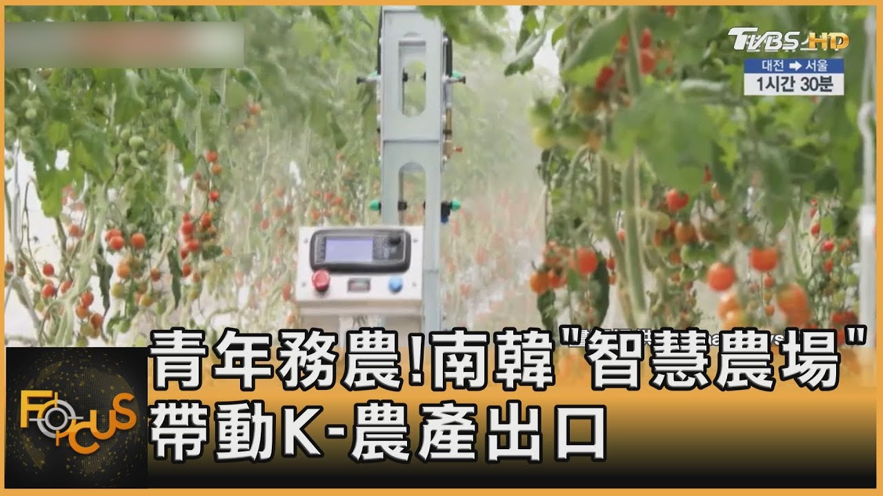 青年務農！南韓「智慧農場」　帶動K-農產出口
