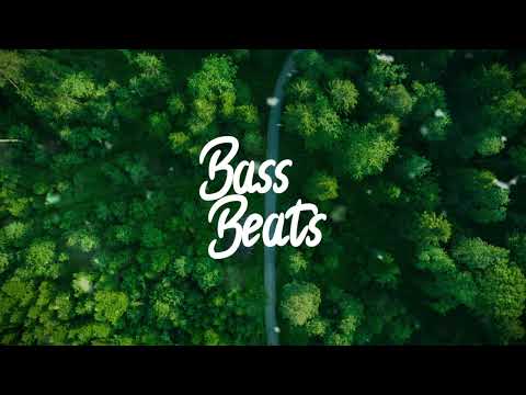 Tom Clayton x Trey Pearce - Runnin' Wild (feat. Maikki) [Bass Boosted]