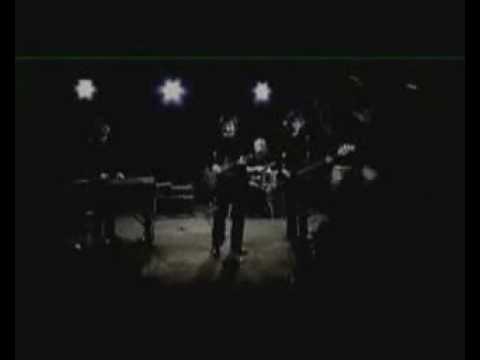 Last Chance - Moke
