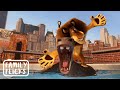 A Day In The Life At Central Park Zoo Madagascar 2005 Family Flicks