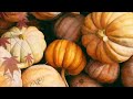 Best Thanksgiving Music Relaxing Moments Family Time Music Instrumental