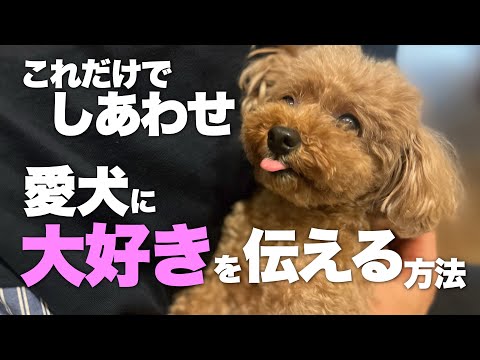 犬に愛していると伝える方法