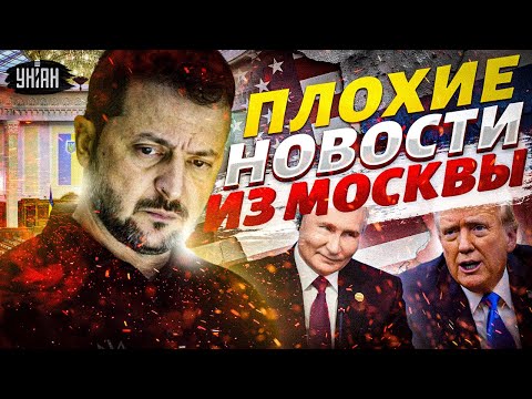 ⚡️Срочное заявление Зеленского по мирному плану! Путин срывает переговоры с зятем Трампа