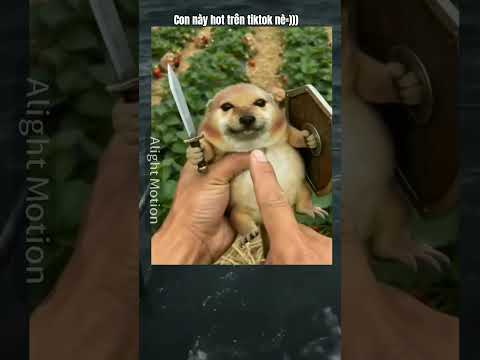 =))))))) #xuhuongyoutube #fbt