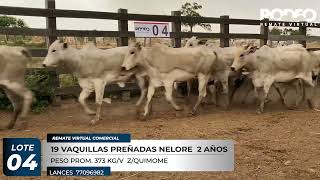 LOTE 4