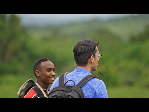 Arusha National Park 4k   Walking Safari   Tanzania   Africa