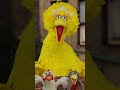 Do The Bird Dance With Big Bird Sesamestreet