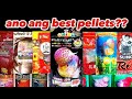 What is the best Pellets for Flowerhorn( EngSub)