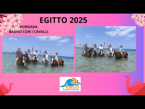 EGITTO 2025: Escursione Hurgada: Bagno con i cavalli