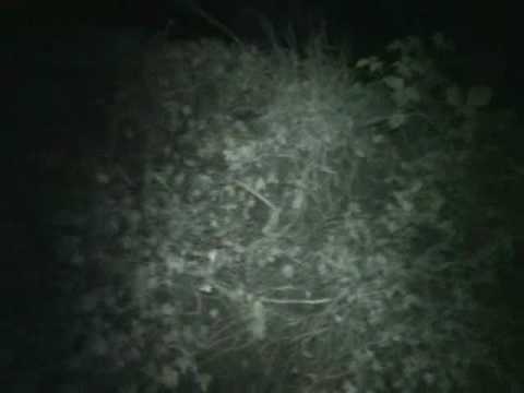 Barnsley ghosts - Rockley Furnace - Engine House.ghosts investigations #3