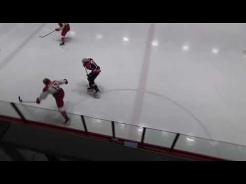 21. WESE PRG 02 Kölner Haie - USA Patriots