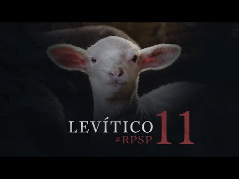 Levítico 11 Resumen Pr. Adolfo Suarez | Reavivados Por Su Palabra