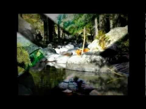 Vitalba Fiure di Palestina ( JMC)