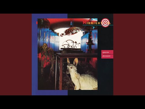 Midnight Oil - Species Deceases (Hercules)