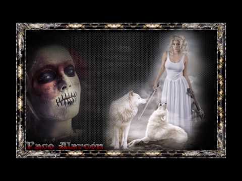 Encarta   Anima in corpore