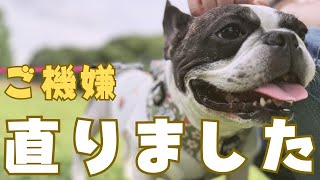 気晴らしで代々木公園を散策したらなんとかなりました😅