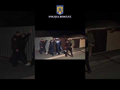 Acțiuni de tip RAZIE în județul Brăila. Stiri Braila - Probraila.ro