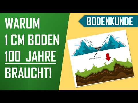 Wie entsteht Boden (Acker)? | Bodenkunde,Geologie - kurzes Erklärvideo