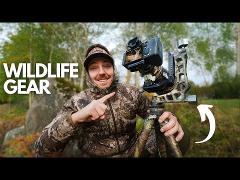 The Camera Gear I Actually Use for Wildlife Photography