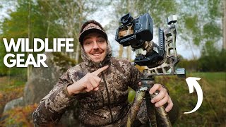 The Camera Gear I Actually Use for Wildlife Photography