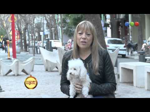 Brisa y Patricia, una historia de amor - Diversión Animal