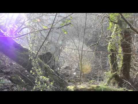 Ruffen Common - The poacher