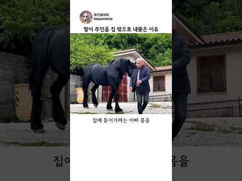말이 주인을 집 밖으로 내쫓은 이유