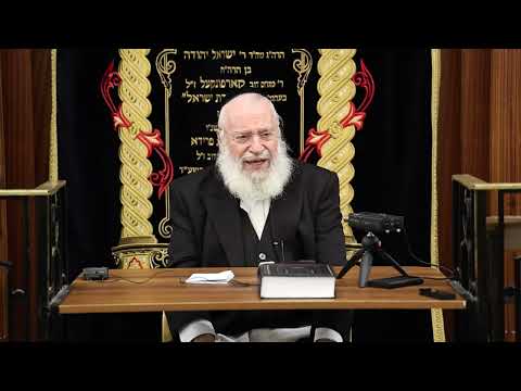 Thoughts on Parshas Bo | By Rav Asher Weiss Shlit"a (5786)