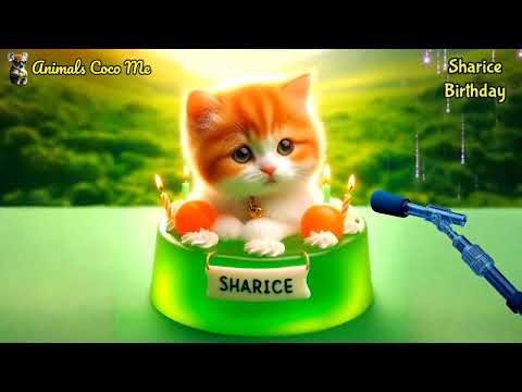 SHARICE HAPPY BIRTHDAY SONG WITH NAMES | Adorable Cute Cat 😺