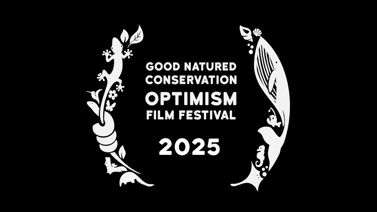 Good Natured Film Festival 2025 - Virtual