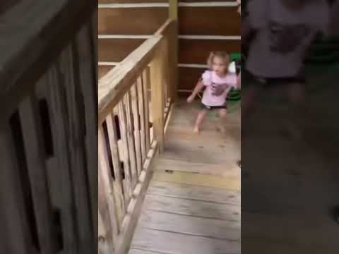 Can I Pet That Dog!?