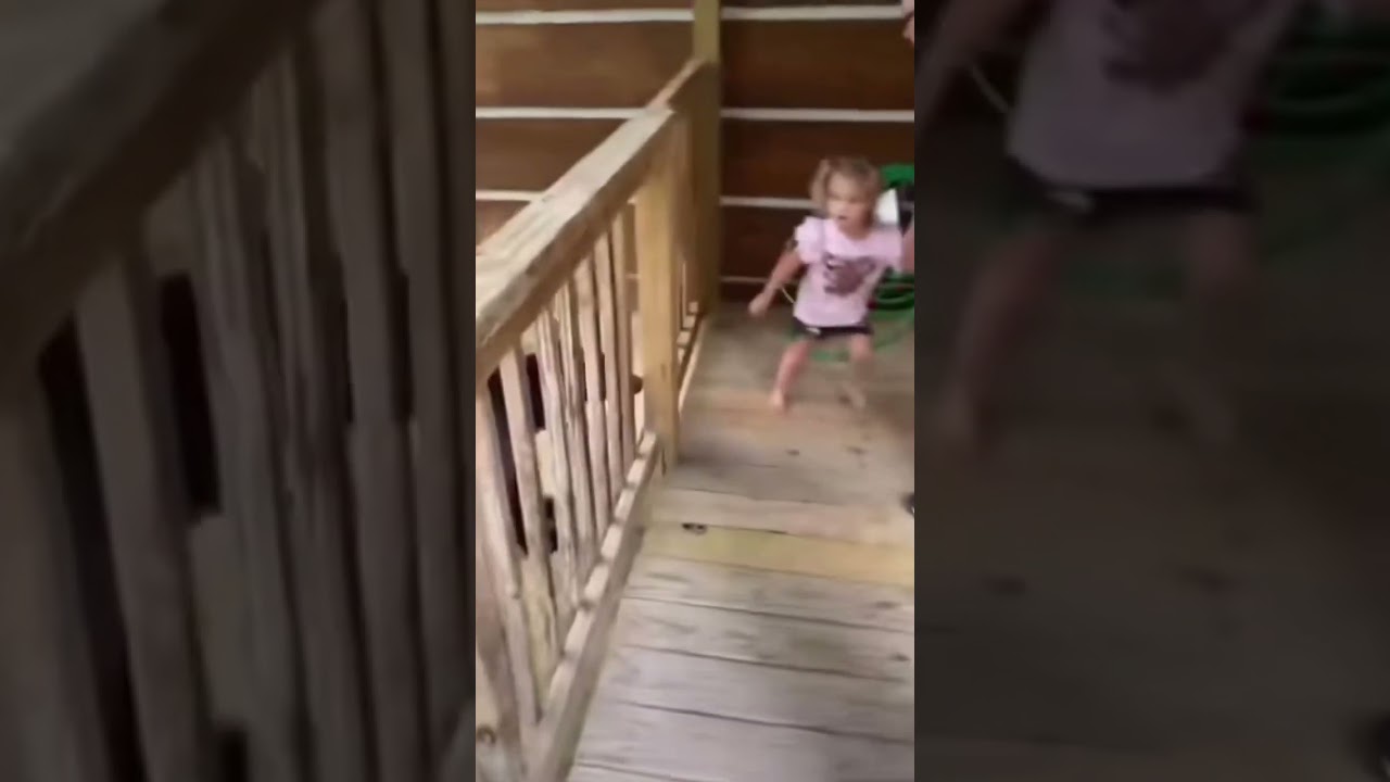 Can I Pet That Dog!?