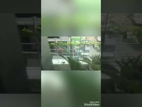 Kindness towards animals by MD.Fahmid Muntasir