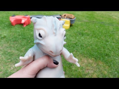 O bebê dragão conhece nossos cães!