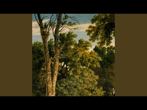 Treehouse Village at Night