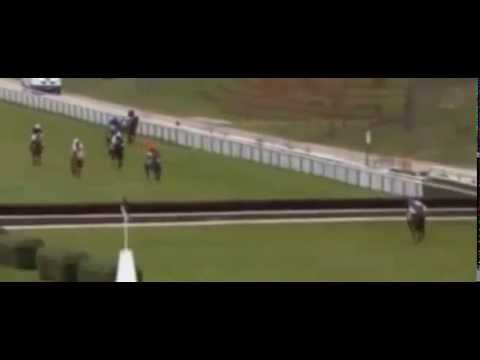 video de quinté+ 1 mars 2015