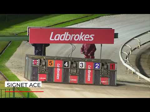 Signet Ace - LADBROKES COM 480