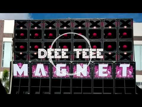 DEE TEE CHECK [KN_JC]2025